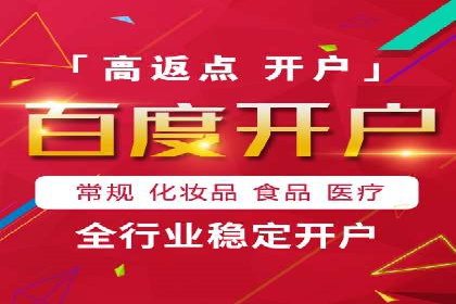 行业标杆：SEM托管公司案例解析